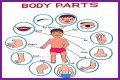 Body part with a pupil