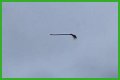 Disturbing video shows floating broom in the middle of the air and the internet is losing its collective mind