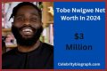 Tobe Nwigwe Height, Weight, Net Worth, Age, Birthday, Wikipedia, Who, Nationality, Biography