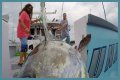 Who has the most expensive boat on Wicked Tuna?